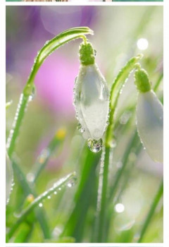 Доброго утра Хорошего дня Спокойной ночи  - IMG_20210328_125507.jpg