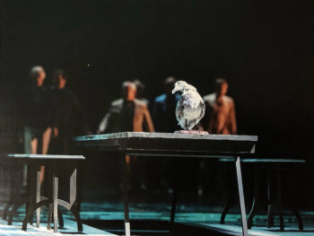 Чем сегодня занимались - y5plc0OUMCU.jpg