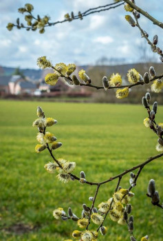 Доброго утра Хорошего дня Спокойной ночи  - IMG_20210414_083505.jpg
