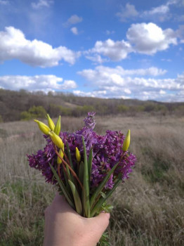Чем сегодня занимались - IMG_20210425_162739.jpg