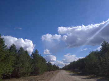 Чем сегодня занимались - IMG_20210425_163738.jpg