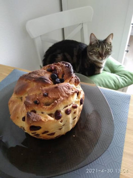 Готовим пасхальные куличи - IMG_20210430_135419.jpg