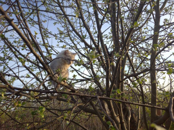 Чем сегодня занимались - IMG_20210506_192840_1.jpg