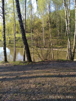 Чем сегодня занимались - IMG_20210511_184129.jpg