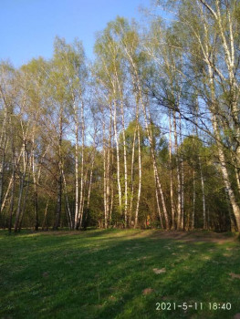 Чем сегодня занимались - IMG_20210511_184022.jpg