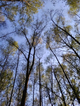 Чем сегодня занимались - IMG_20210511_182658.jpg