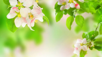 Доброго утра Хорошего дня Спокойной ночи  - unnamed.jpg