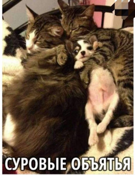 Доброго утра Хорошего дня Спокойной ночи  - IMG_20210330_115615.jpg