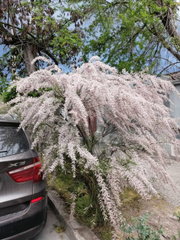 О путешествующих - IMG_20210516_193801.jpg