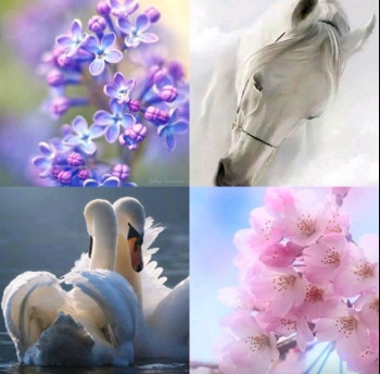 Доброго утра Хорошего дня Спокойной ночи  - IMG_20210526_120447.jpg