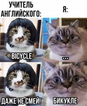 Из ВКонтактика с приветиком  - FB_IMG_1621281123790.jpg