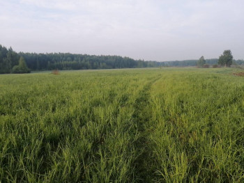 Чем сегодня занимались - IMG_20210528_055152.jpg