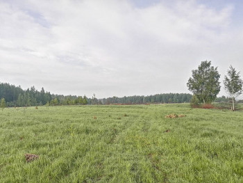 Чем сегодня занимались - IMG_20210528_060052.jpg