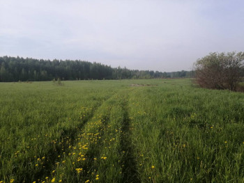 Чем сегодня занимались - IMG_20210528_071453.jpg