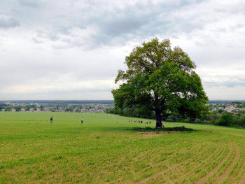 Доброго утра Хорошего дня Спокойной ночи  - 624k-3EB2S0.jpg