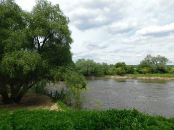 Доброго утра Хорошего дня Спокойной ночи  - iHtjNicObFg.jpg