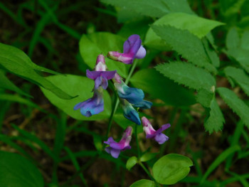 Доброго утра Хорошего дня Спокойной ночи  - 5eke4jtoDc8.jpg