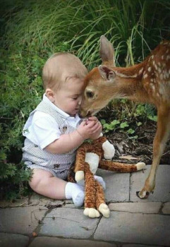 Доброго утра Хорошего дня Спокойной ночи  - IMG_20200602_103210.jpg