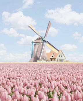 Доброго утра Хорошего дня Спокойной ночи  - FFrqvulZTOU.jpg