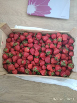 Чем сегодня занимались - IMG_20210602_154835.jpg