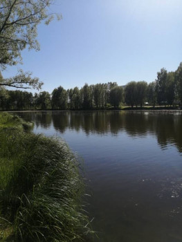 Чем сегодня занимались - IMG_20210605_151717.jpg