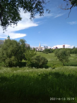 Чем сегодня занимались - IMG_20210613_151920.jpg