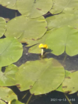 Чем сегодня занимались - IMG_20210613_145523.jpg