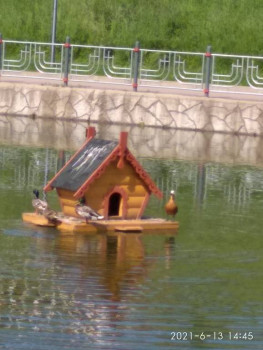 Чем сегодня занимались - IMG_20210613_144509.jpg