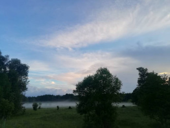 Впервые видела туман стелющимся полосой.
