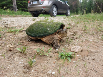 Путешествие на авто  - 20210608_091619~2.jpg