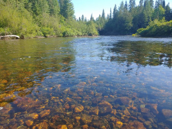 Путешествие на авто  - 20210613_093203.jpg