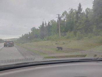 Путешествие на авто  - 20210613_163638_HDR.jpg