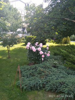 Чем сегодня занимались - IMG_20210614_164219.jpg