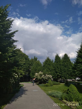 Чем сегодня занимались - IMG_20210614_164513.jpg