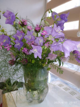 Попросила дочь Лена букет полевых цветов.