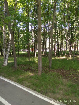 Чем сегодня занимались - IMG_20210616_155528.jpg