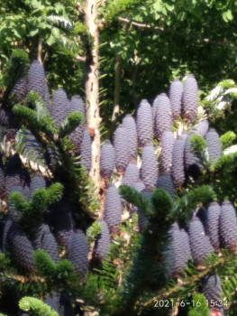 Чем сегодня занимались - IMG_20210616_153447.jpg