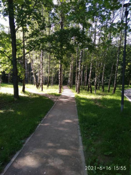 Чем сегодня занимались - IMG_20210616_155519.jpg