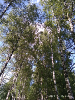 Чем сегодня занимались - IMG_20210616_150955.jpg