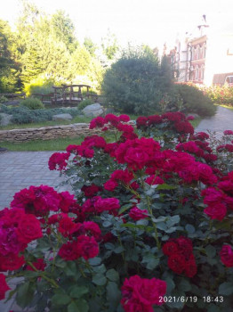 Чем сегодня занимались - IMG_20210619_184308.jpg