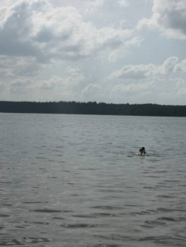 Чем сегодня занимались - IMG_20210625_165500.jpg