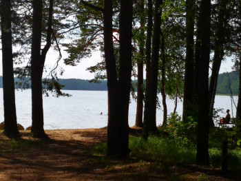 Чем сегодня занимались - IMG_20210625_165331.jpg