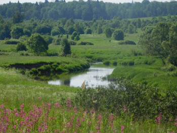 Еду в паломничество.Записки. - DSCN6785.JPG