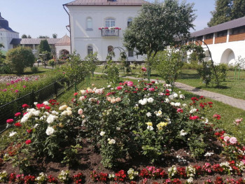 Еду в паломничество.Записки. - IMG_20210627_110411.jpg