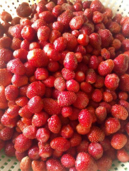 Рецептик дня -4 - IMG_20210626_143334.jpg