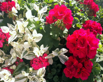 Еду в паломничество.Записки. - IMG_20210627_140617.jpg