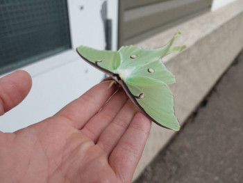 ВСЁ обо ВСЁМ или наши флудилки - 2 - 20210629_150330.jpg