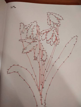 Чем сегодня занимались - 16251277270924971433545193213487.jpg