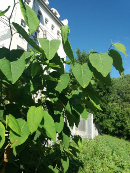 Чем сегодня занимались - 20210630_074602.jpg