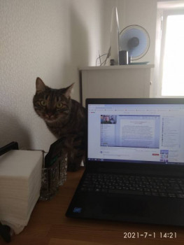 Чем сегодня занимались - IMG_20210701_142119.jpg